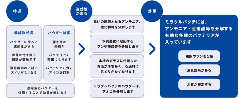ミラクルバクテ特長と効果